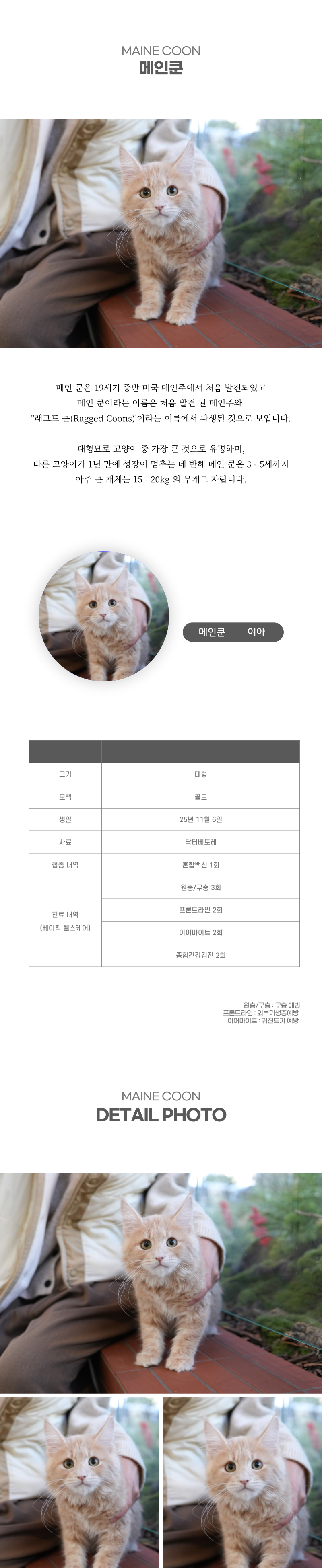 메인쿤_상세이미지_2